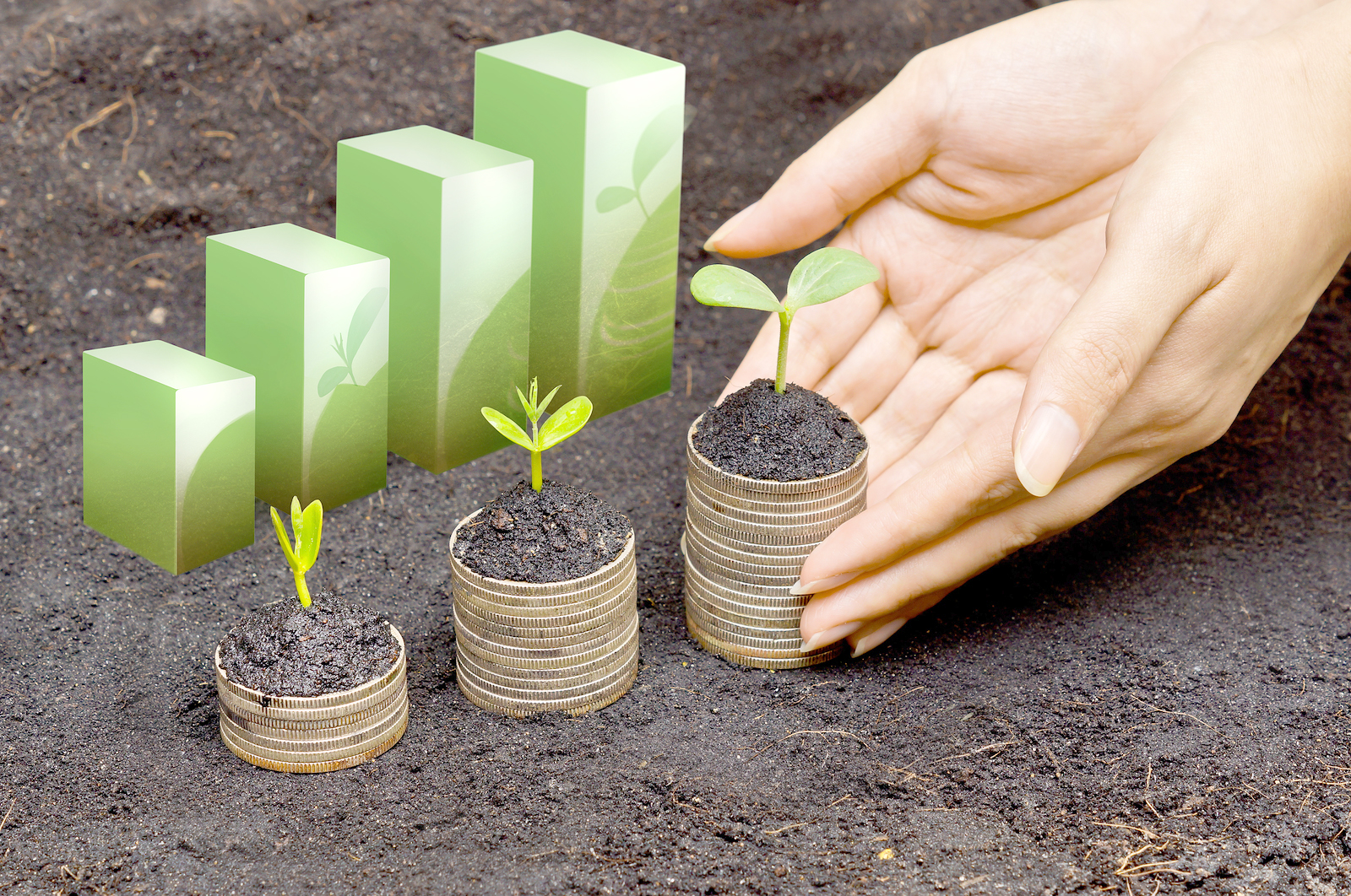 Organisations as Sustainable Systems