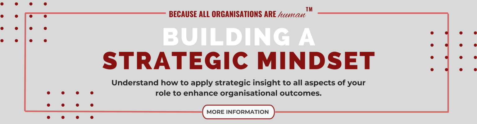 Home - TMS Consulting